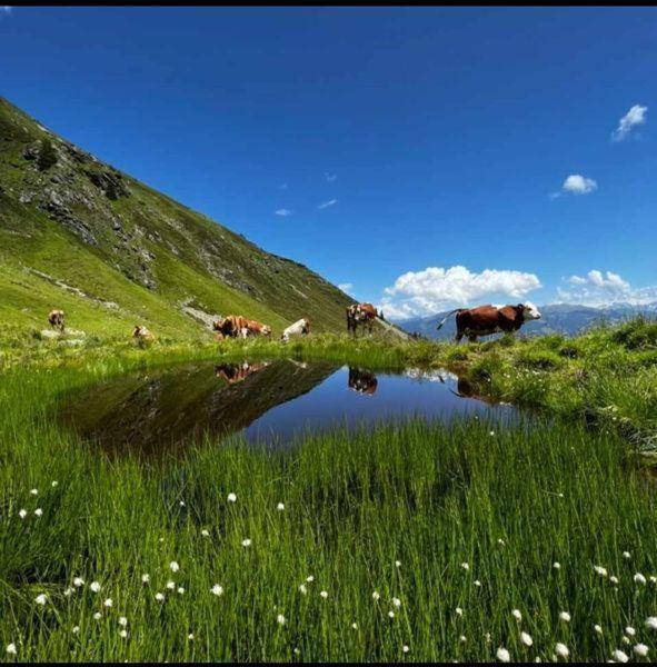 Das Zauberhaft Mayrhofen Buitenkant foto